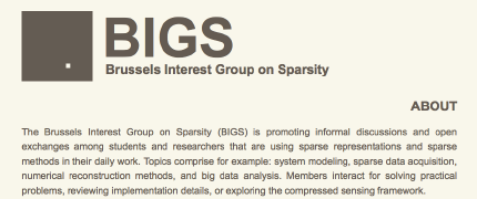 Brussels Interest Group on Sparsity (BIGS)